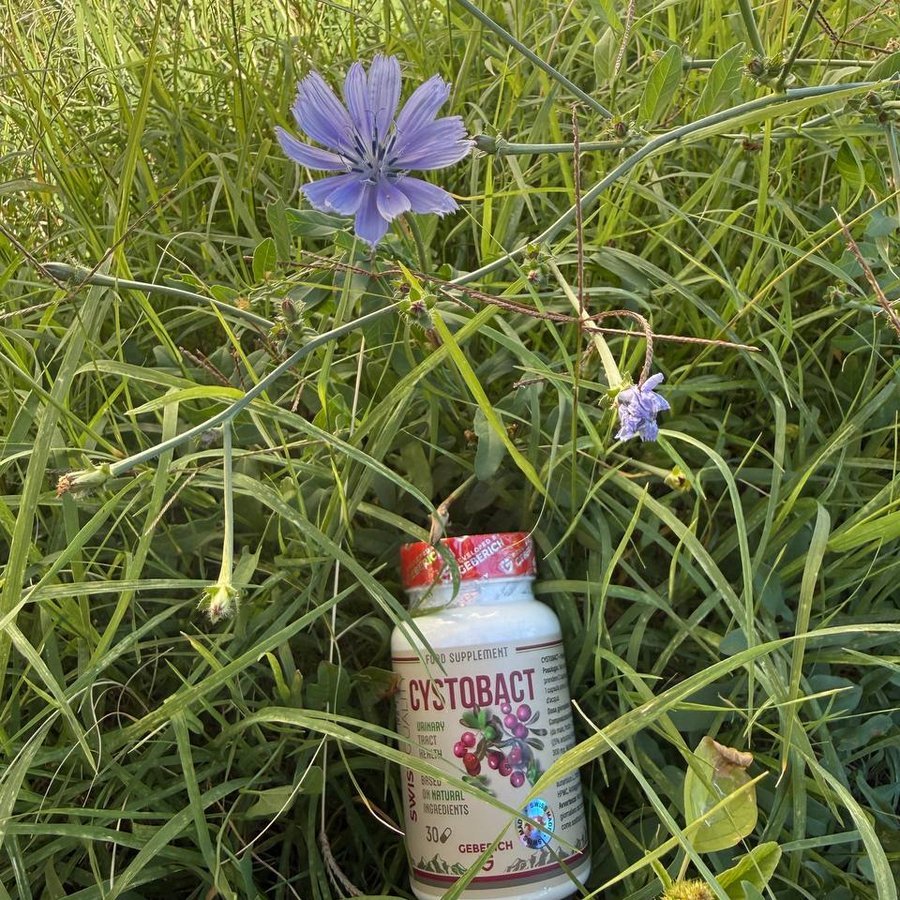 Cystobact 1 Dose — für rund 10 Tage